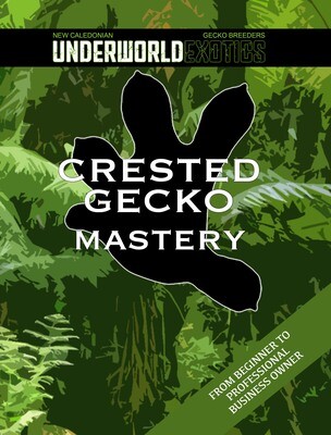UEA: Crested Gecko Mastery Book [Paperback] The Most Complete Writings on the Correlophus Ciliatus