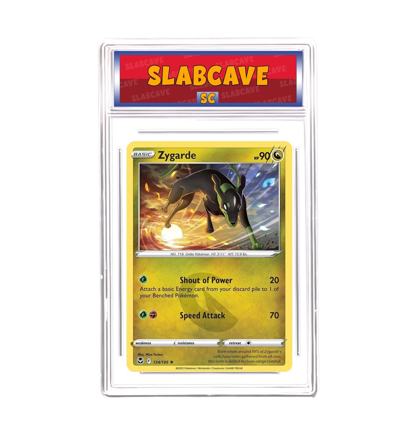 Graded Pokemon Card: SC10 - Zygarde 134/195 [SWSH Silver Tempest] [Rare Non Holo]