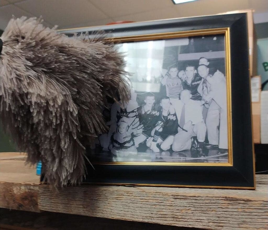 Ostrich Feather Duster 16&quot;