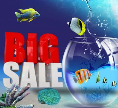 On Sale