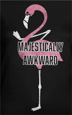MAJESTICALLY AWKWARD