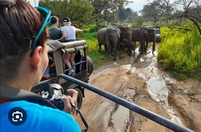 Jeep Safari