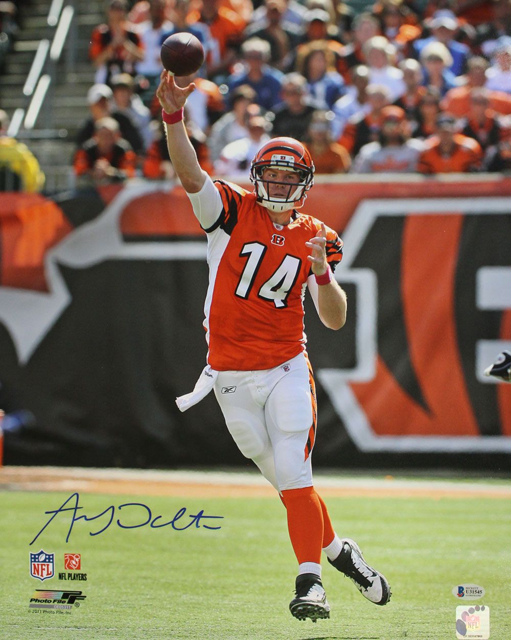 Andy Dalton Autographed/Signed Cincinnati Bengals 16x20 Photo BAS