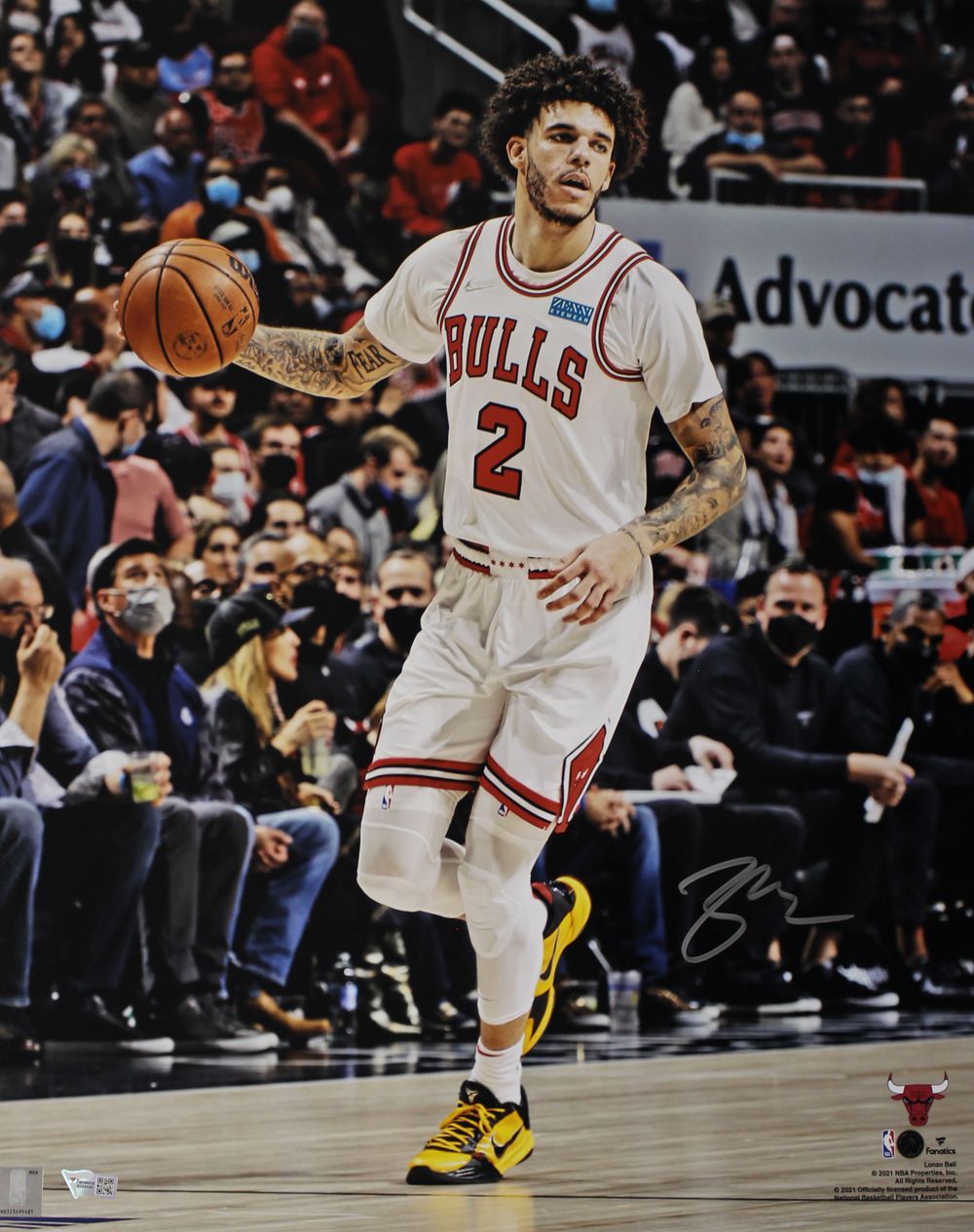 Lonzo Ball Autographed/Signed Chicago Bulls 16x20 Photograph Fanatics
