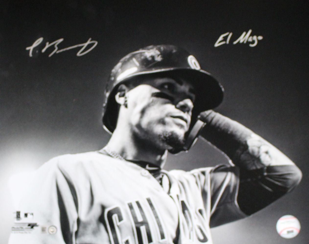 Javier Baez Autographed Chicago Cubs 11x14 Photo El Mago MLB PF