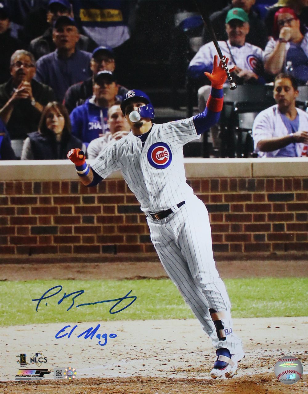 Javier Baez Autographed Chicago Cubs 11x14 Photo El Mago MLB PF