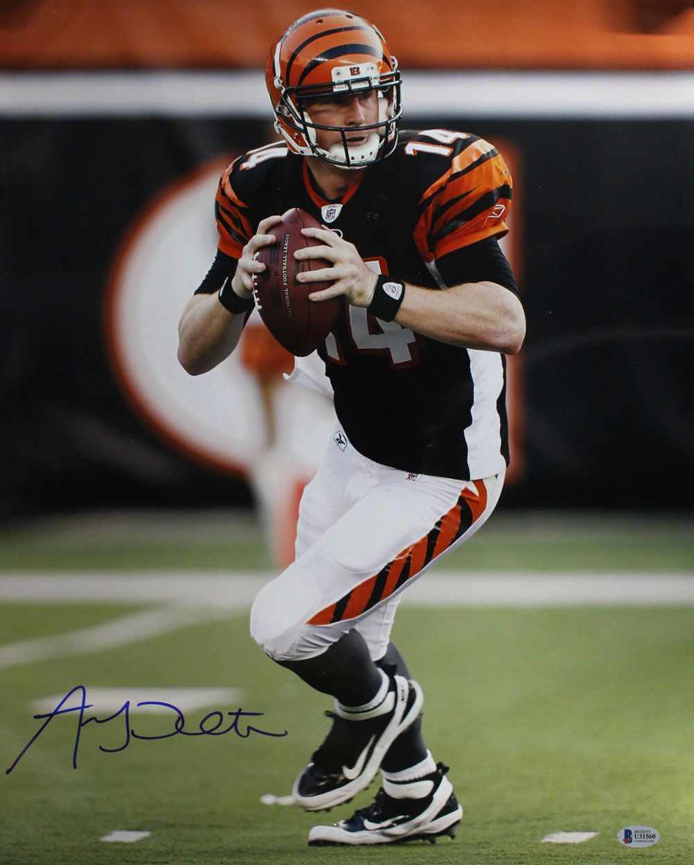 Andy Dalton Autographed/Signed Cincinnati Bengals 16x20 Photo BAS