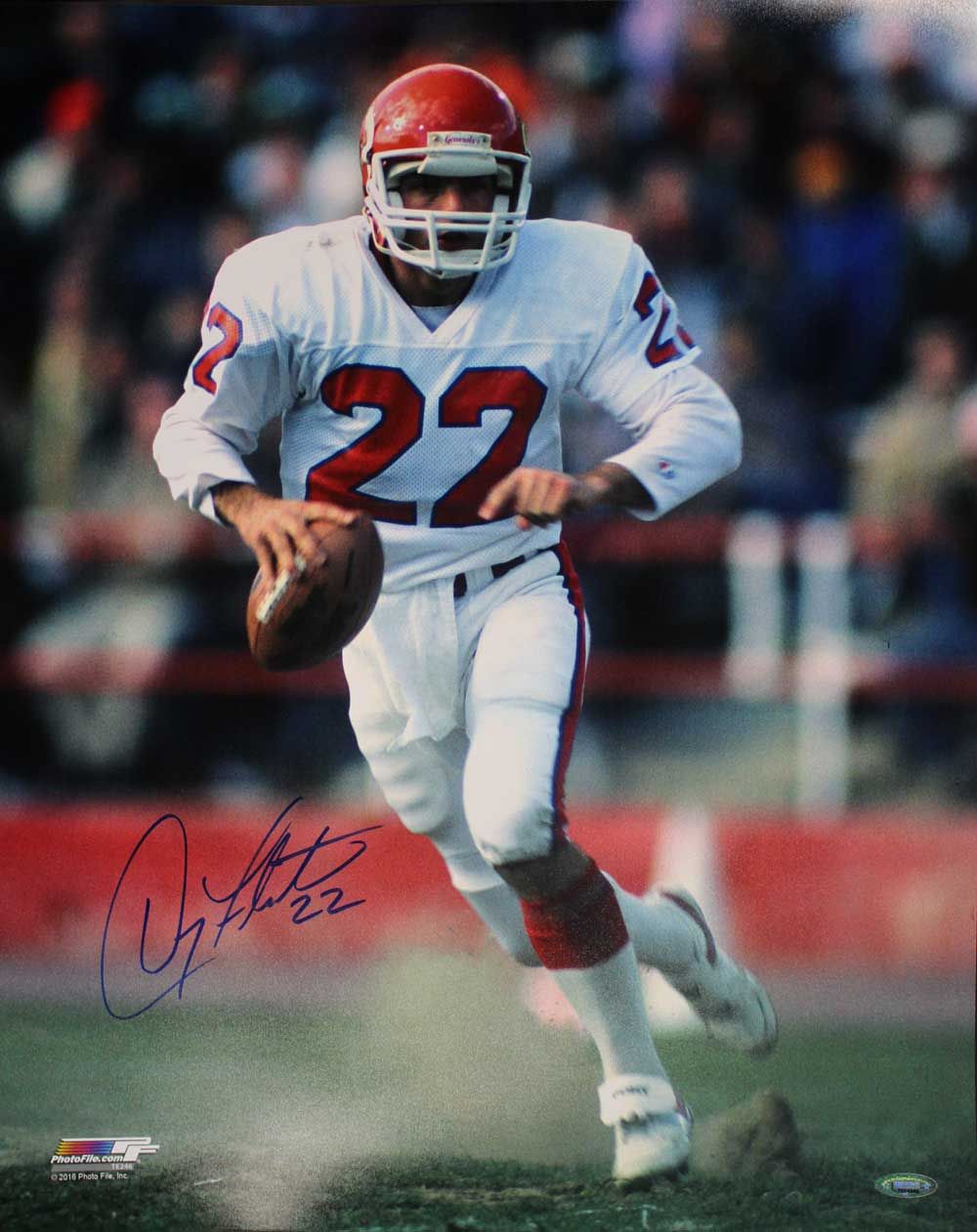 Doug Flutie Autographed/Signed New Jersey Generals 16x20 Photo Tristar