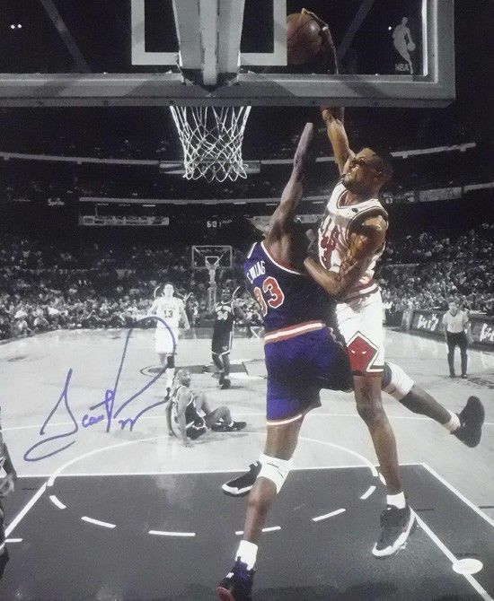 Scottie Pippen Autographed Chicago Bulls 16x20 Photo Sephia JSA
