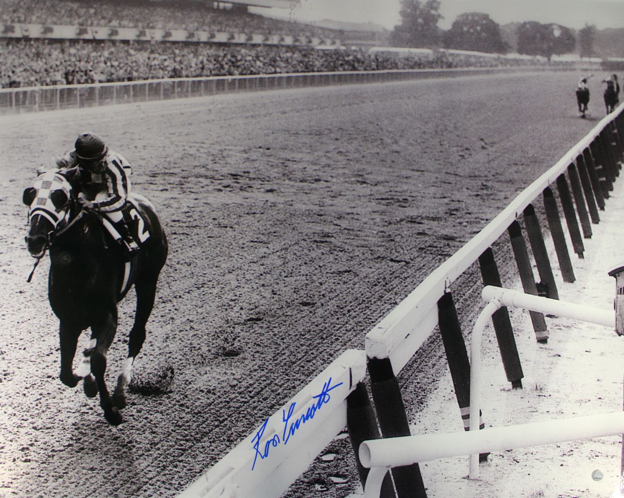 Ron Turcotte Autographed Triple Crown 16x20 Photo Secretariat Steiner