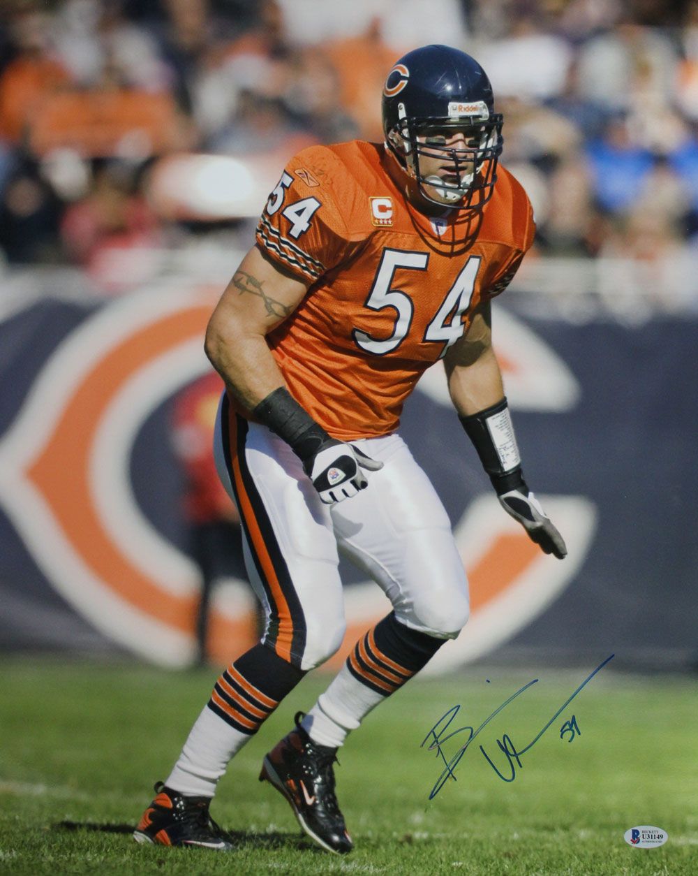 Brian Urlacher Autographed/Signed Chicago Bears 16x20 Photo BAS