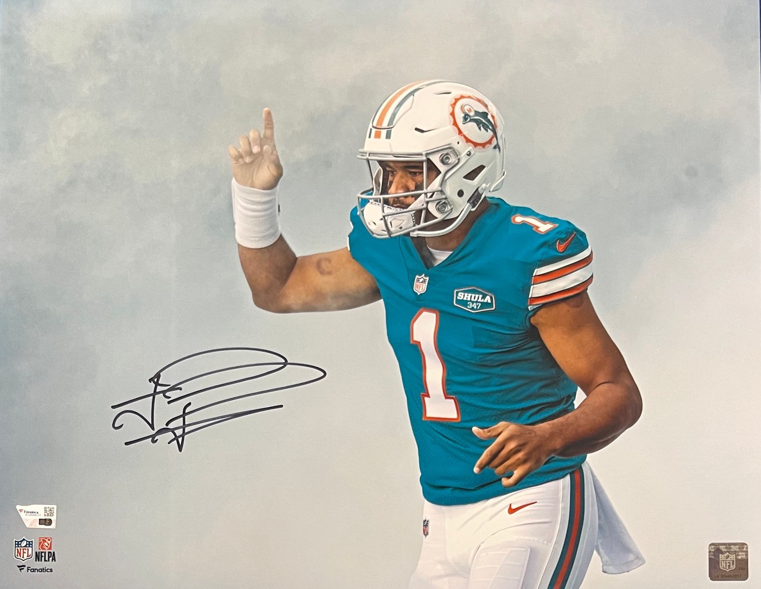 Tua Tagovailoa Autographed Miami Dolphins 16x20 Photo FAN
