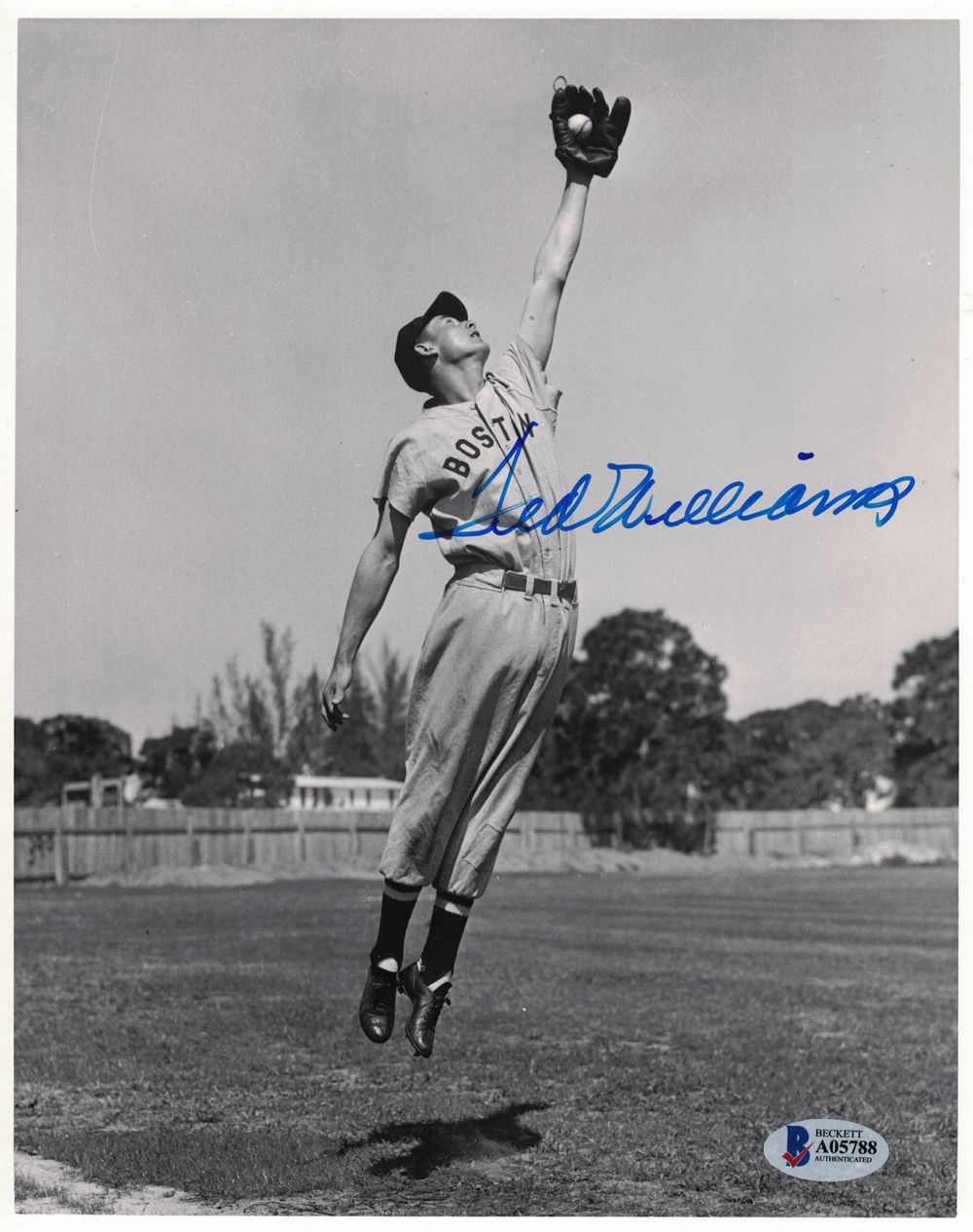 Ted Williams Autographed/Signed Boston Red Sox 8x10 Photo BAS
