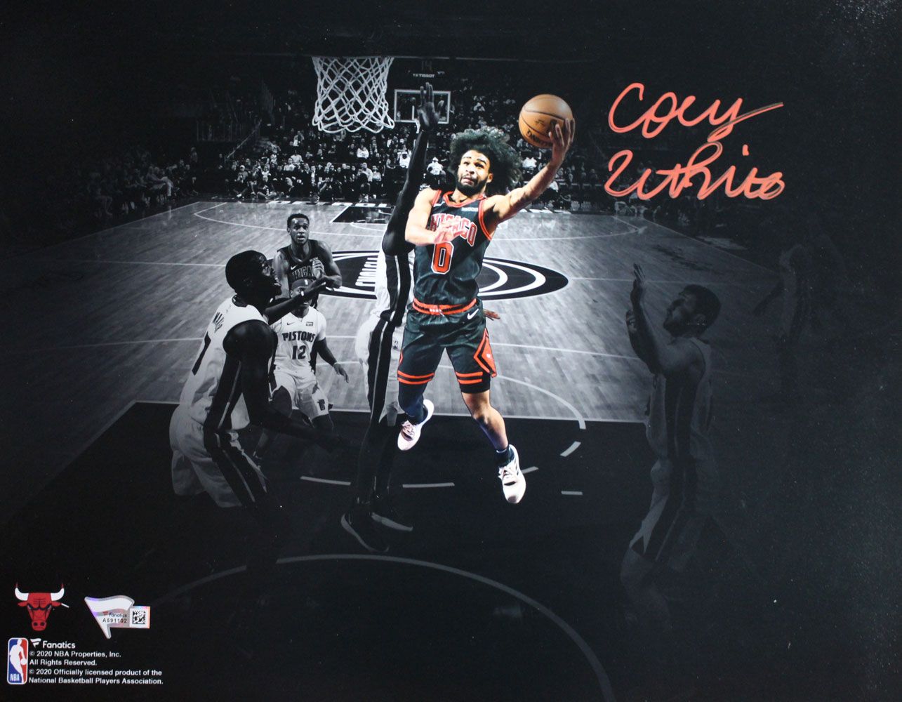 Coby White Autographed/Signed Chicago Bulls 11x14 Photo FAN PF