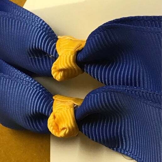 Hair Tie Pair - Blue Ashley