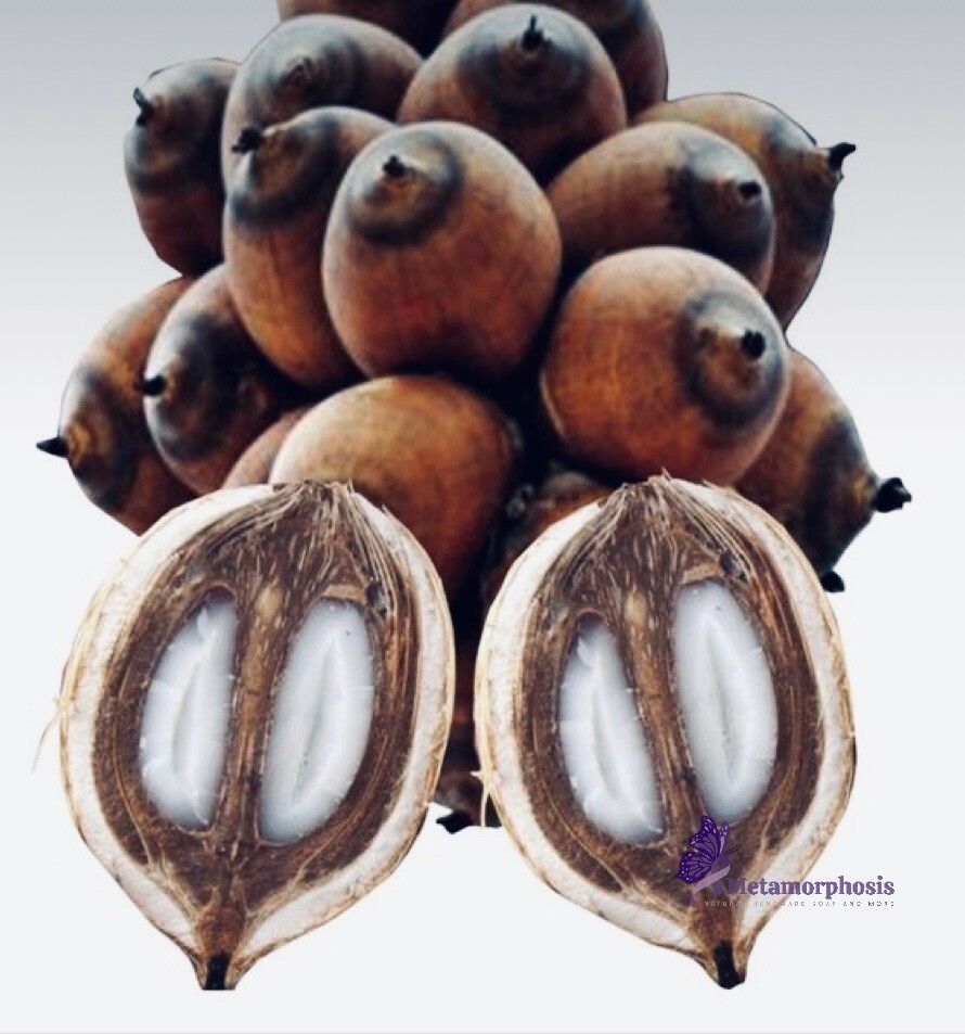 Babassu Oil
