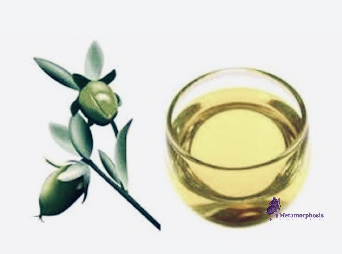 Olive Oil