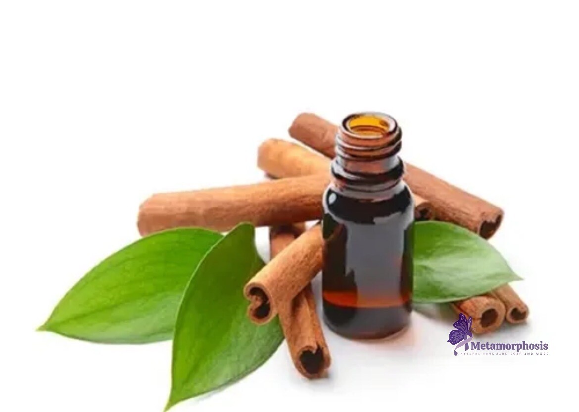 Cinnamon essential oil