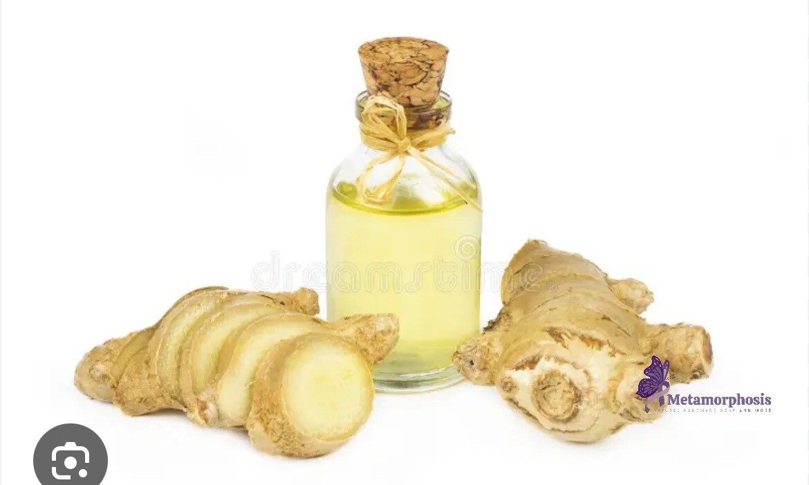 Ginger essential oil