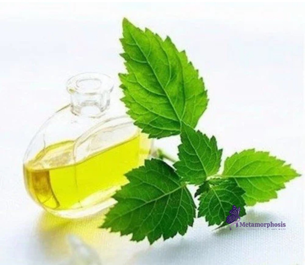 Patchouli essential oil