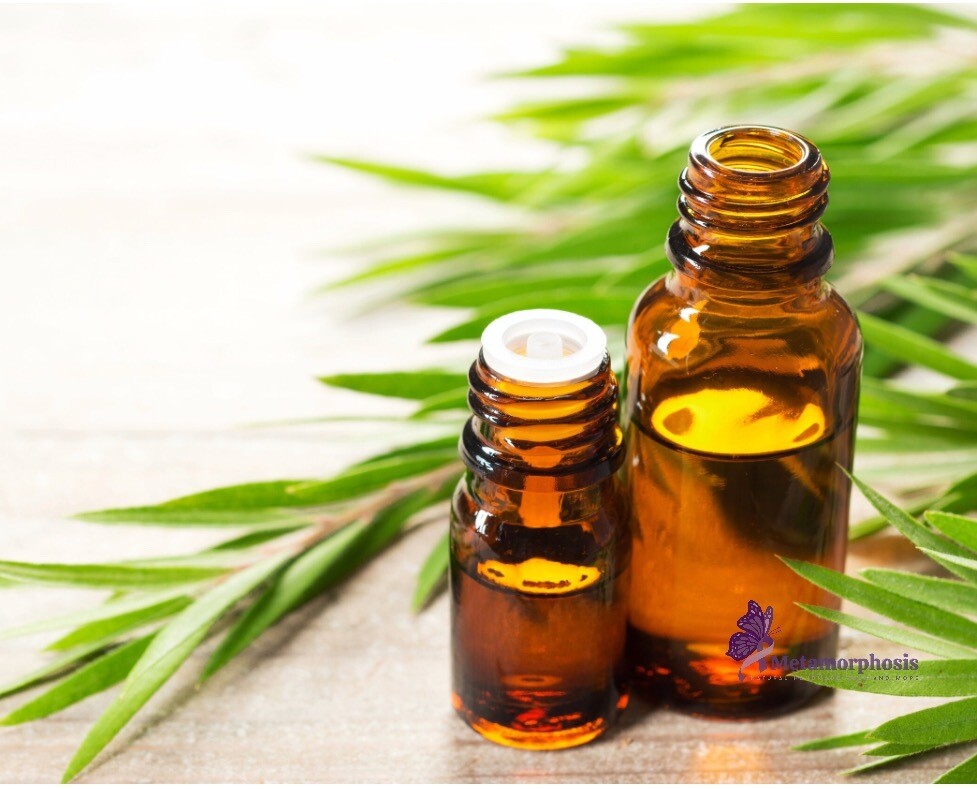 Tea tree essential oil