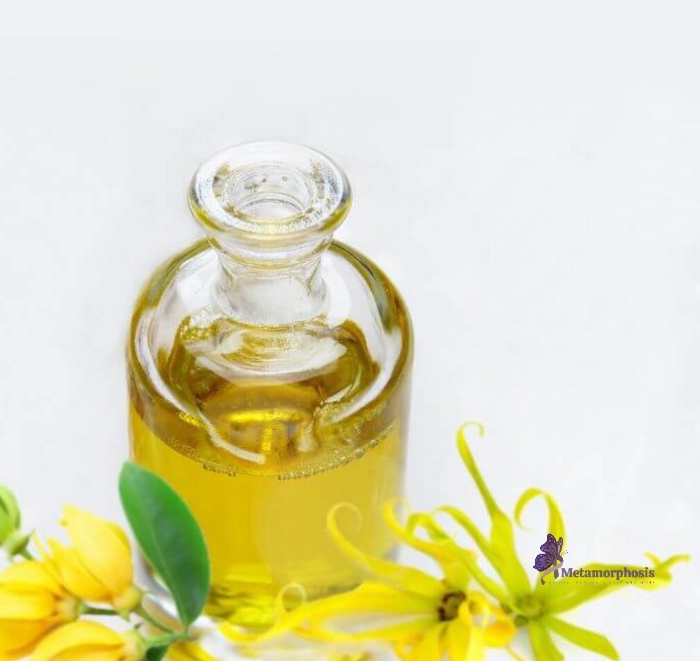 Ylang ylang essential oil