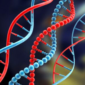 Reprogramming Your DNA