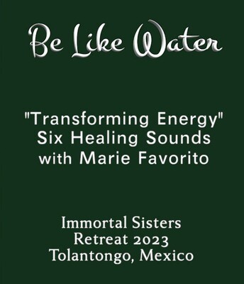 Marie Favorito - Transforming Energy