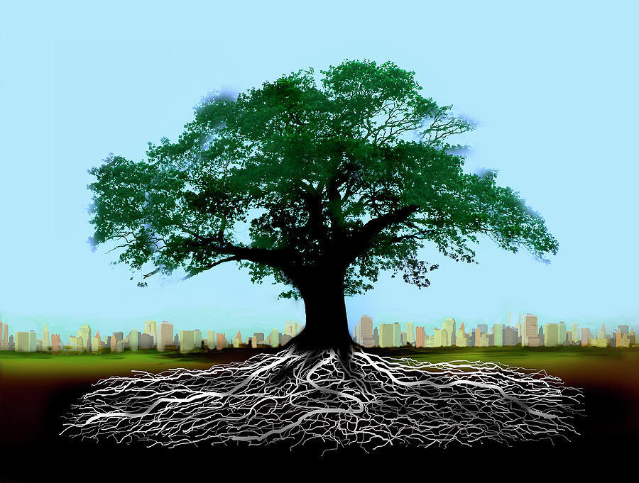 Embrace the Tree - Standing Practice