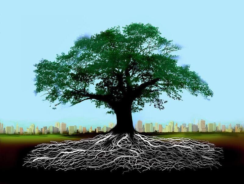 Embrace the Tree - Standing Practice