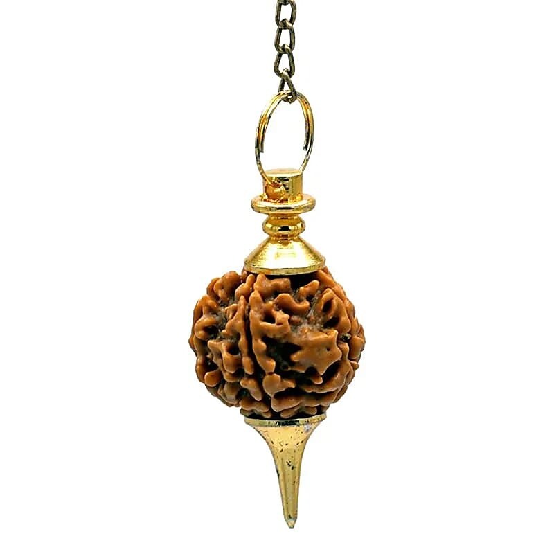 Bijzondere Rudraksha pendel