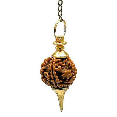 Bijzondere Rudraksha pendel