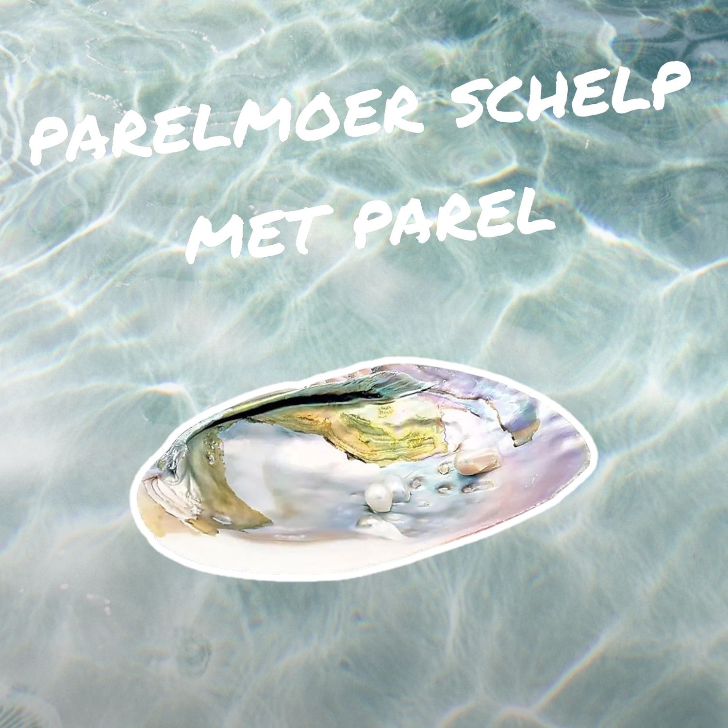 parelmoeren schelp met echte parel erin