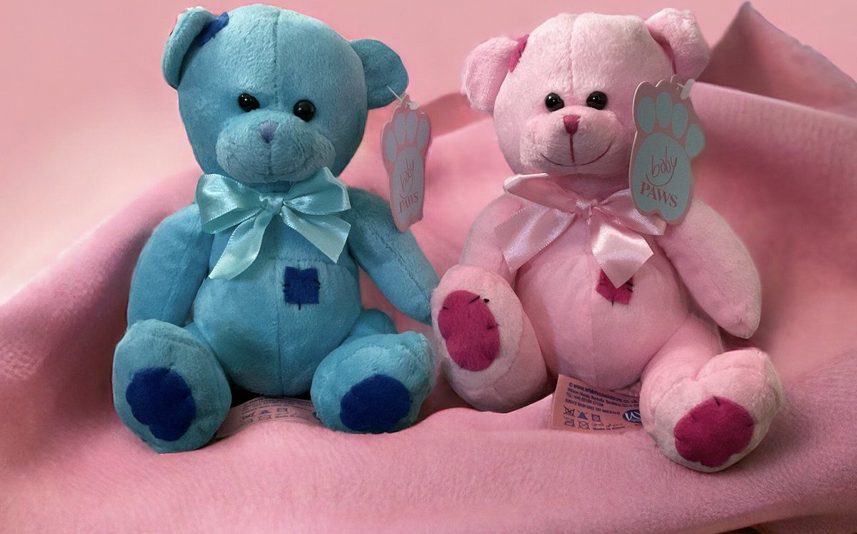 Teddybeertjes in het roze of blauw