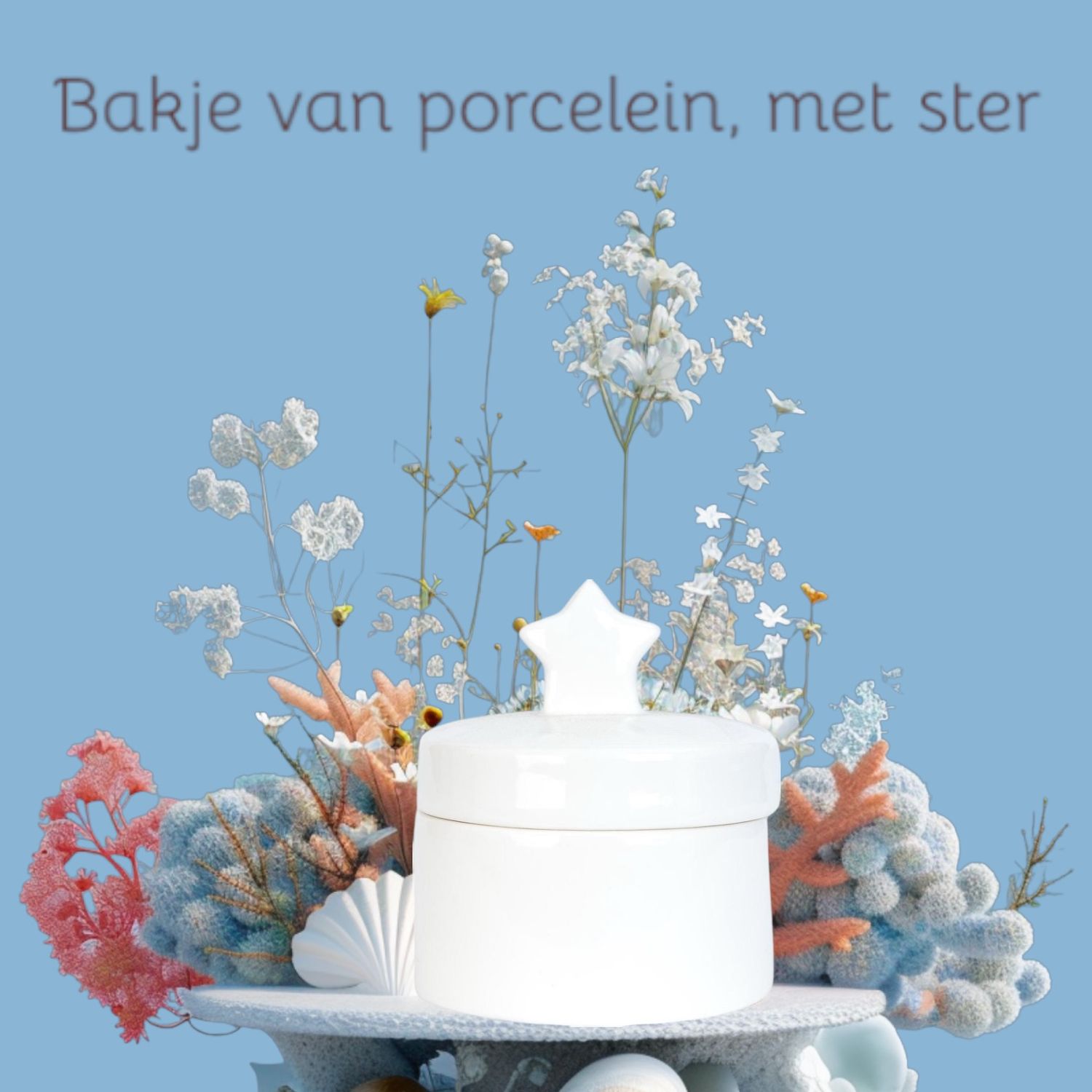 Wit porceleinen bakje met deksel en ster, troostcadeau