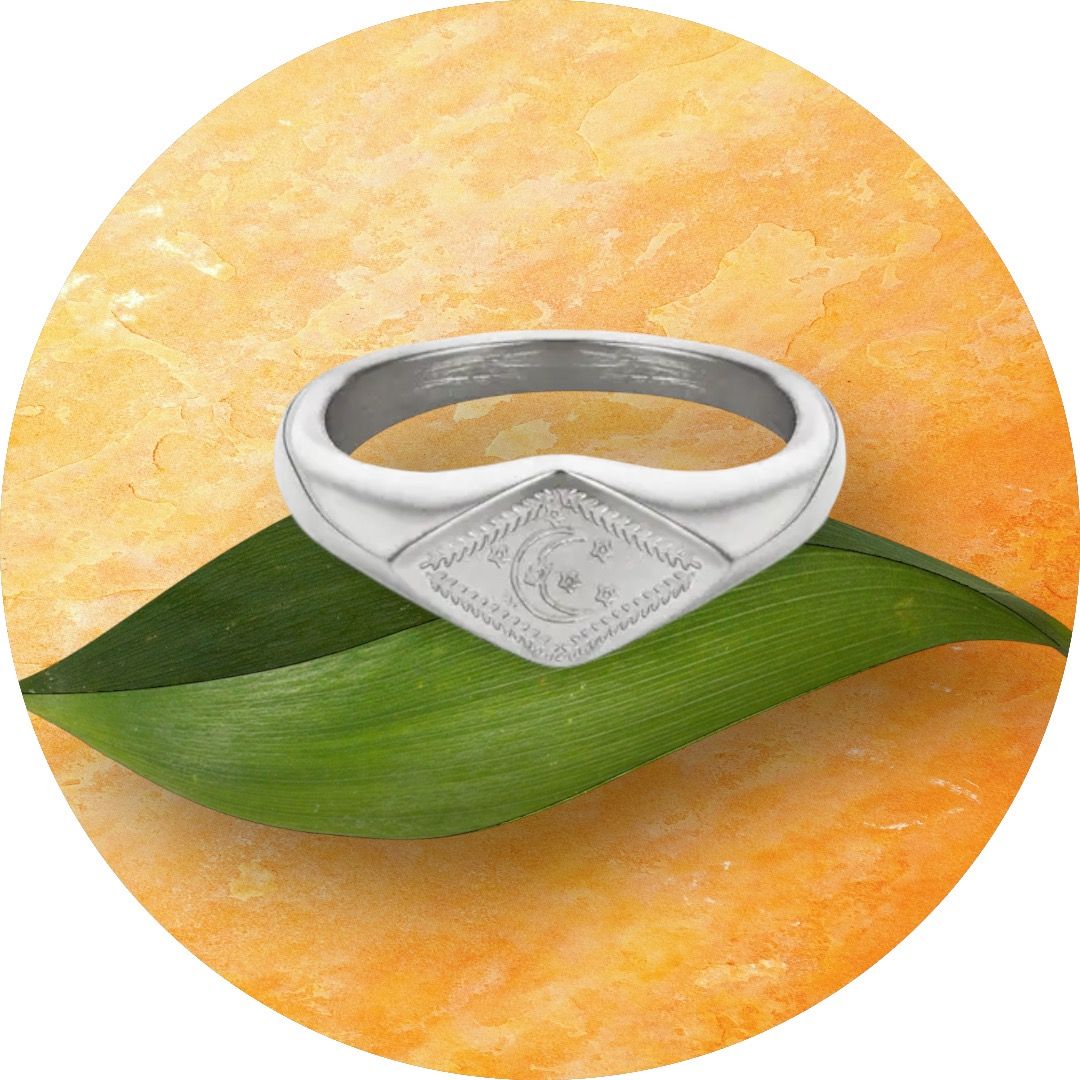 ring rvs universe