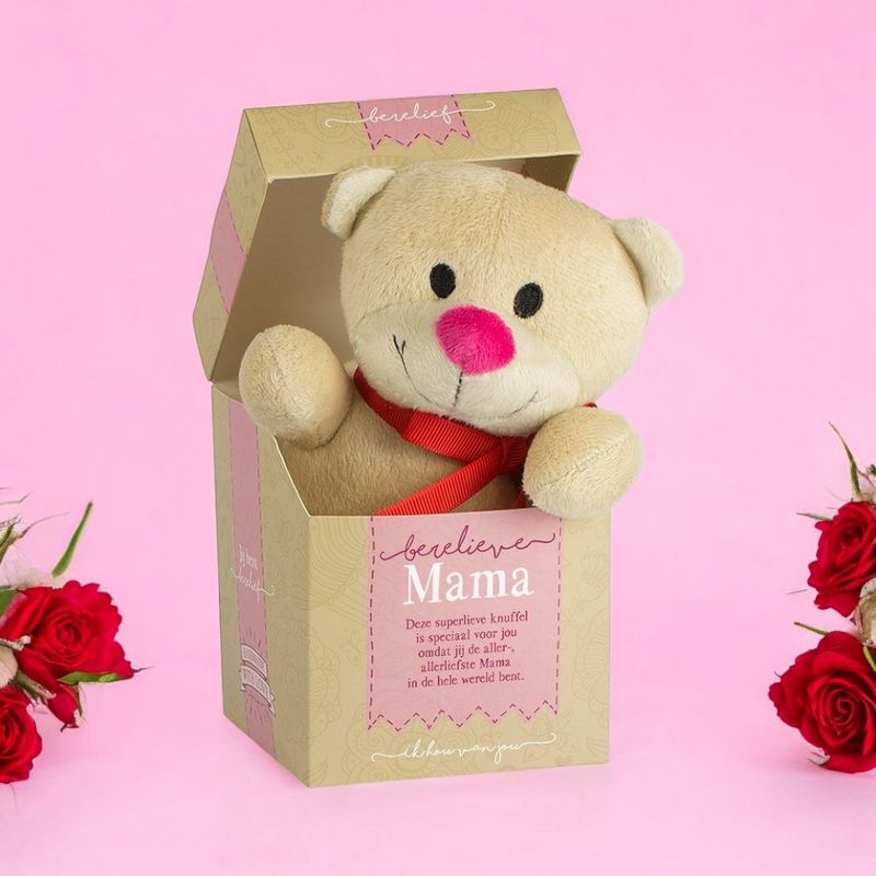 Pluche beer in speciaal doosje voor mama