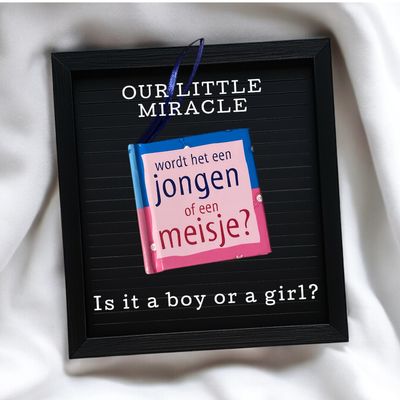Gender Reveal boekje: Jongen of Meisje