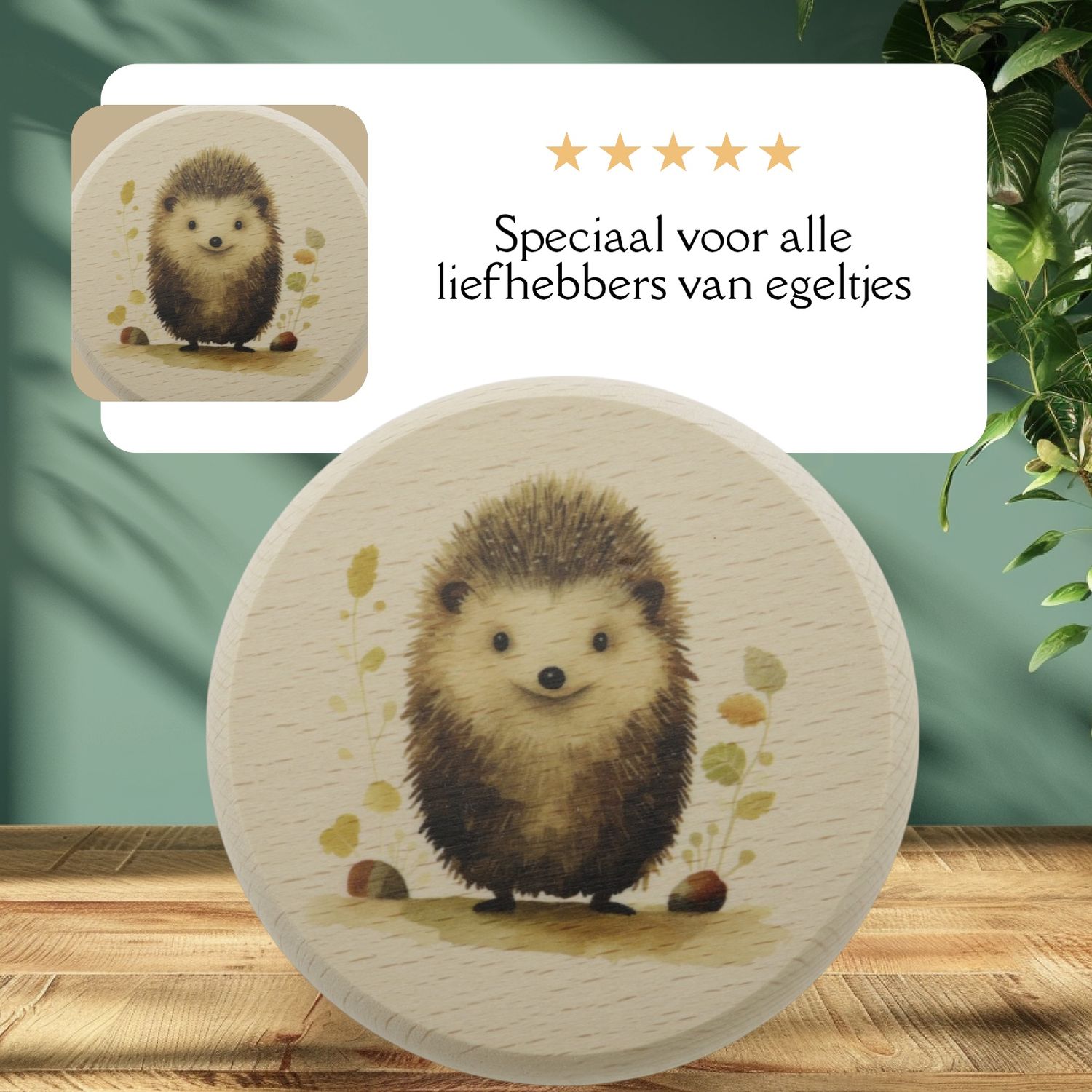 Een egeltje, op mooi beukenhout, hang hem aan de muur