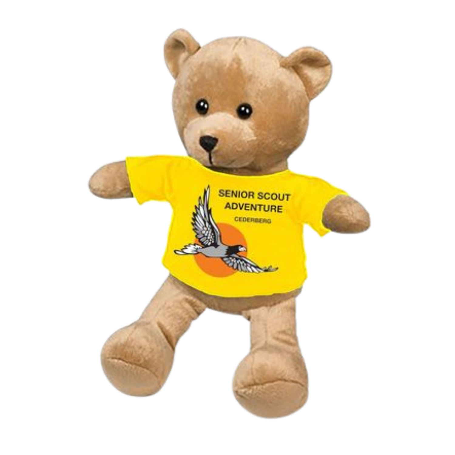 Cederberg #hikelikeaTeddy I SHIRT AND TEDDY