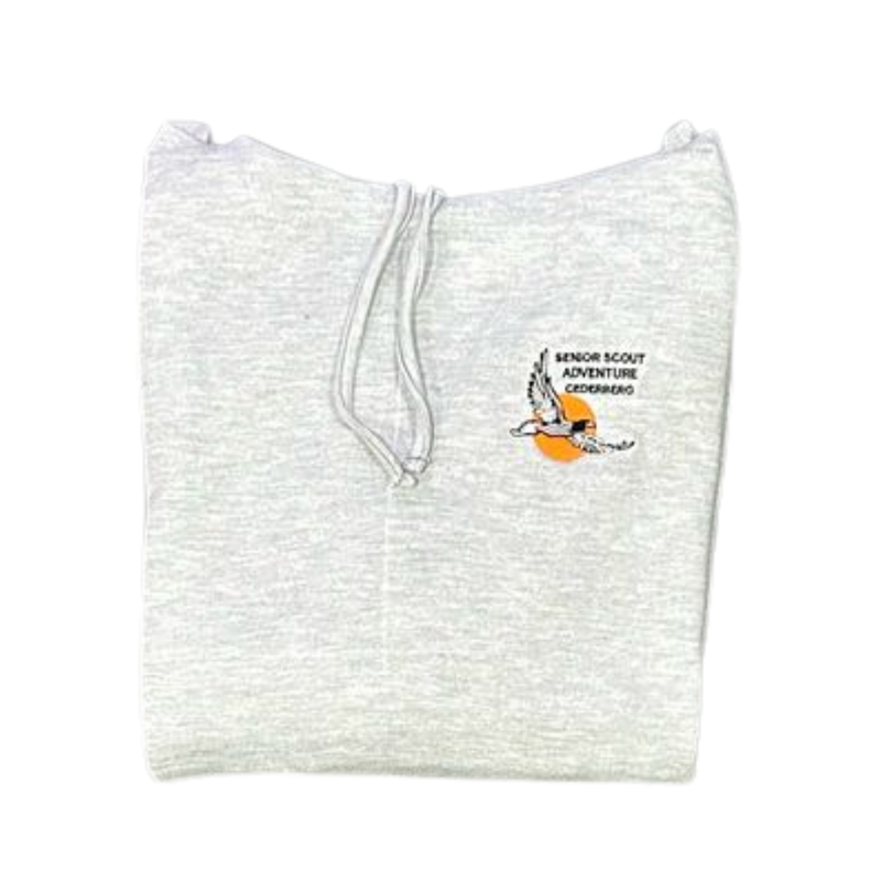 HOODIE- Grey