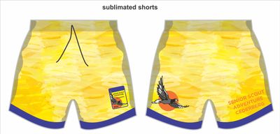Sublimated Shorts