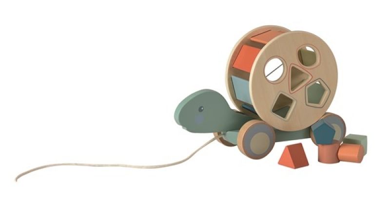Pull-Along Turtle – 2-in-1
