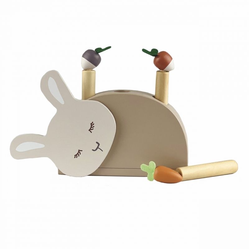 Pop-up Bunny (customizable with child’s name)