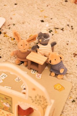 Mini Friends Mini Figures &amp; Play Cases – Personalised Sets with Play Mat