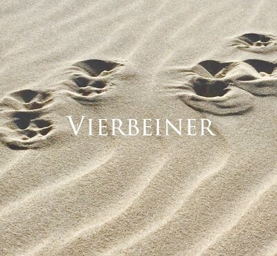Vierbeiner