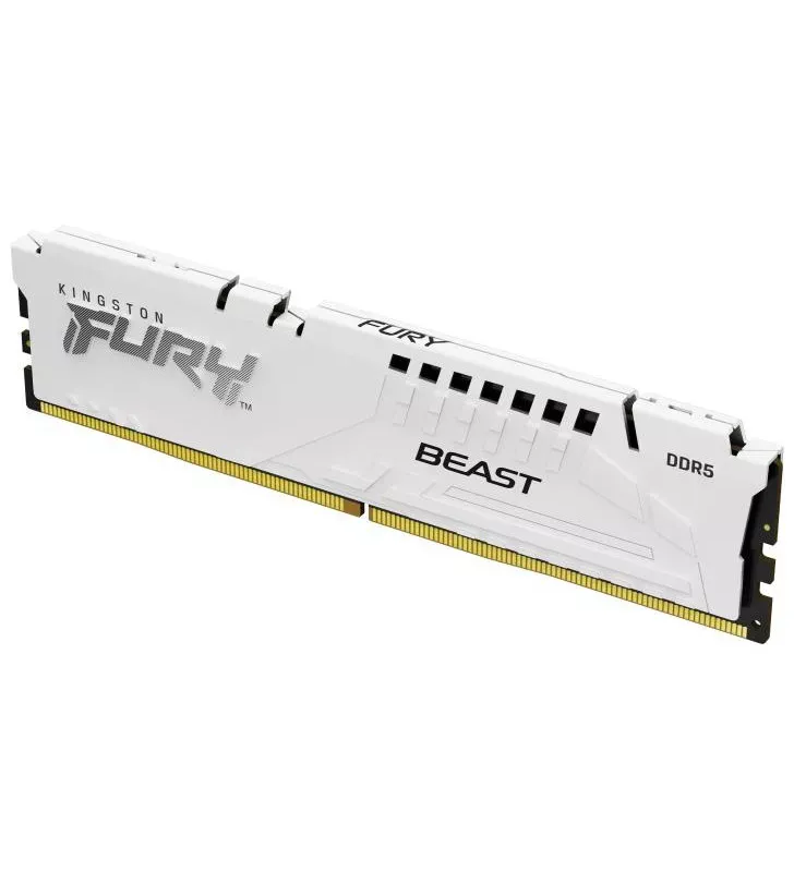 Kingston Technology FURY Beast 32 Go 6000 MT/s DDR5 CL36 DIMM (Kits de 2) White EXPO