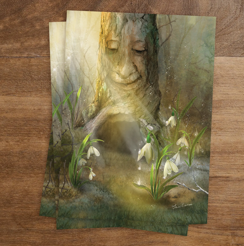 Carte postale Snowdrops