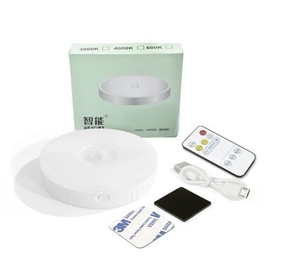 Motion sensor light