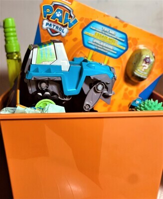 Themed Fidget Basket  (Paw Patrol, PJ Mask, Mickey/Minnie Mouse)